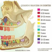 /album/fotogaleria/a12552794-1084286584935268-333960424472952528-n-jpg/